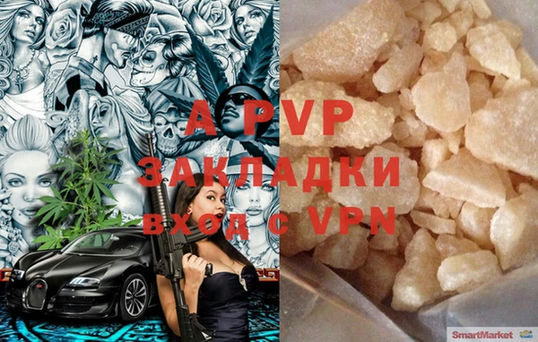 эйфоретик Бородино