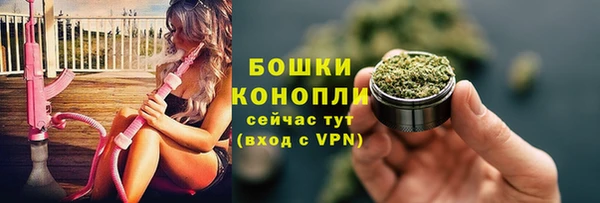 эйфоретик Бородино