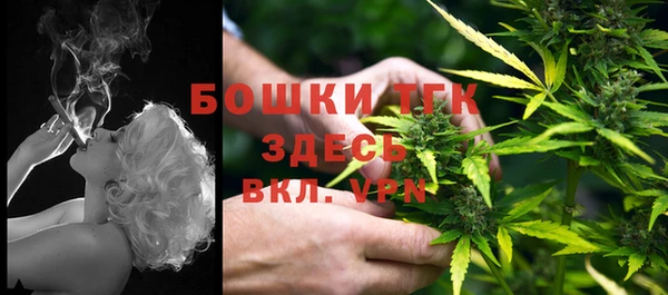 кристаллы Богданович